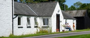 Woodsedge holiday cottage foraging for wild foods in dumfries and galloway
